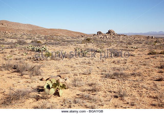 desert-landscape-sandy-soil-yucca-cactus-rock-new-mexico-bgaygb.jpg