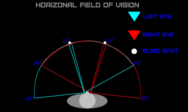 field-of-vision.jpg