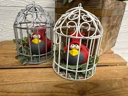 Cardinals-Caged.jpg
