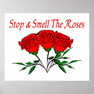 stop_and_smell_the_roses_poster-re5e36c9f9c4946619cebfdf2c7c260ef_wv3_8byvr_307.jpg