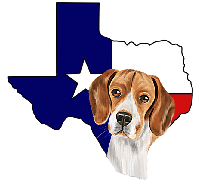 Texas-Shape-Beagle.jpg