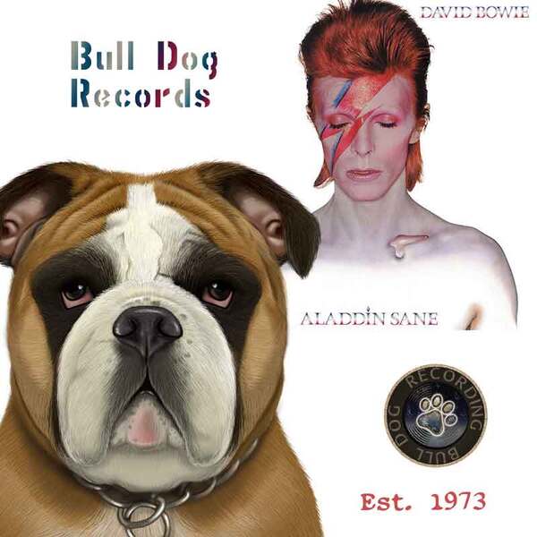 BullDog_Bowie_Records-11x11-B.jpg