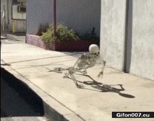 Funny-Video-Skeleton-Crawl-Monday-Gif.gif